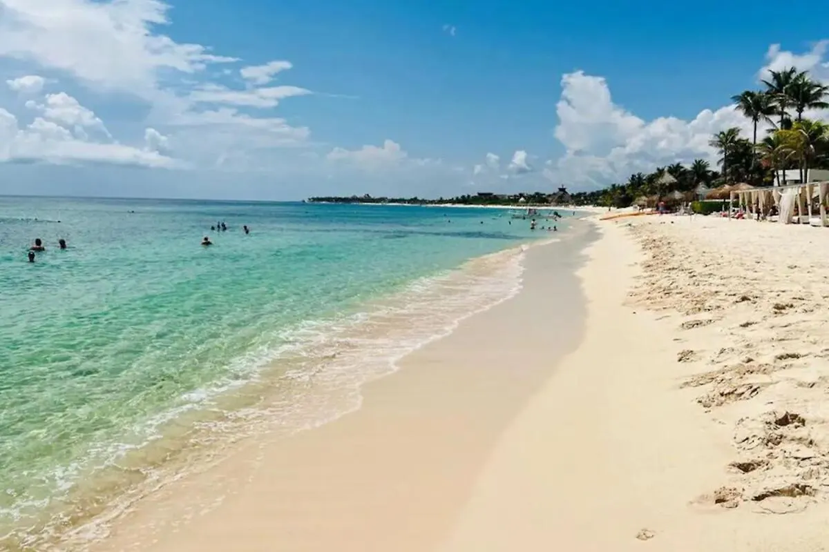 Tree House Akumal Sea View Walk To Beach 11 Pools 0*,