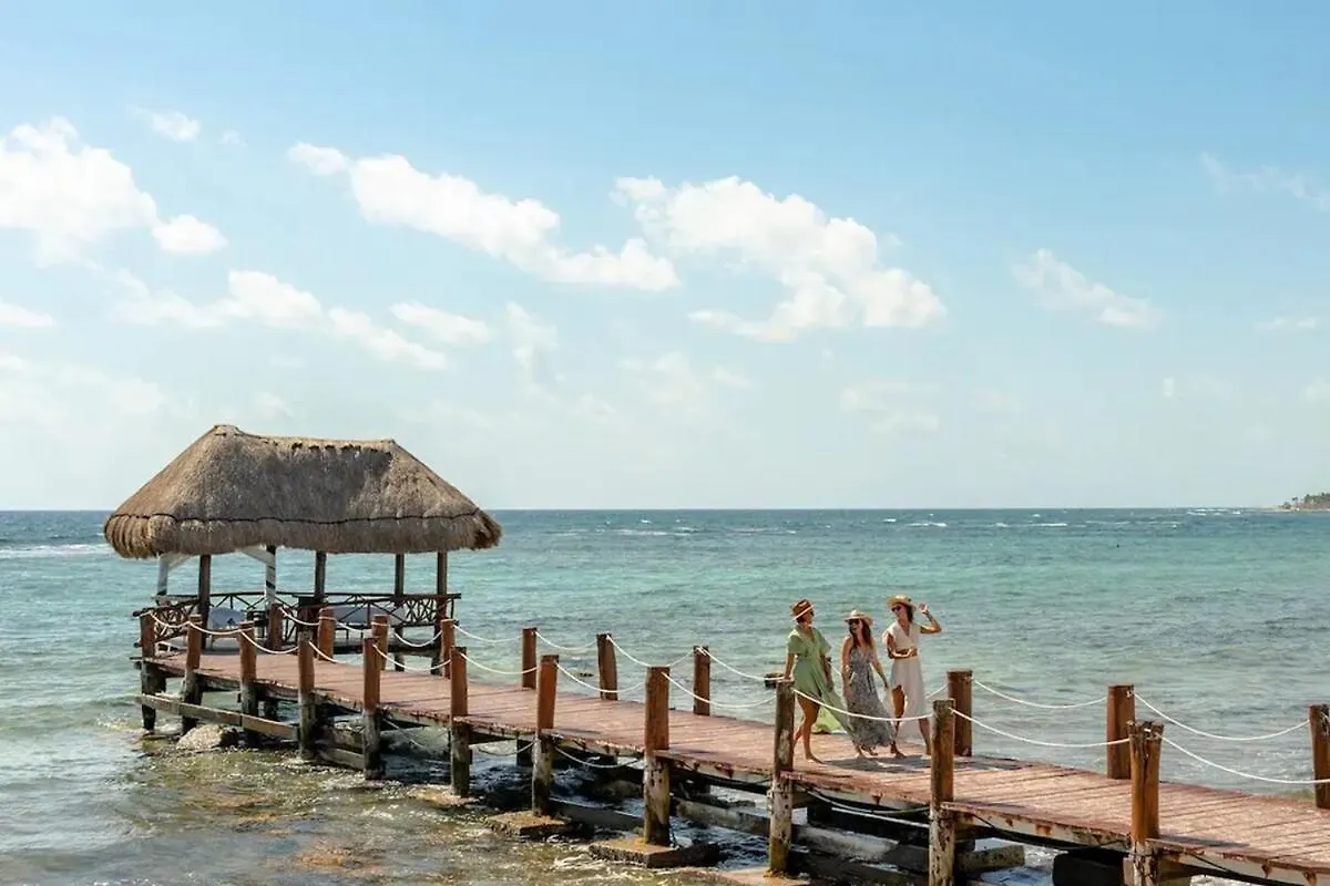 Tree House Akumal Sea View Walk To Beach 11 Pools
